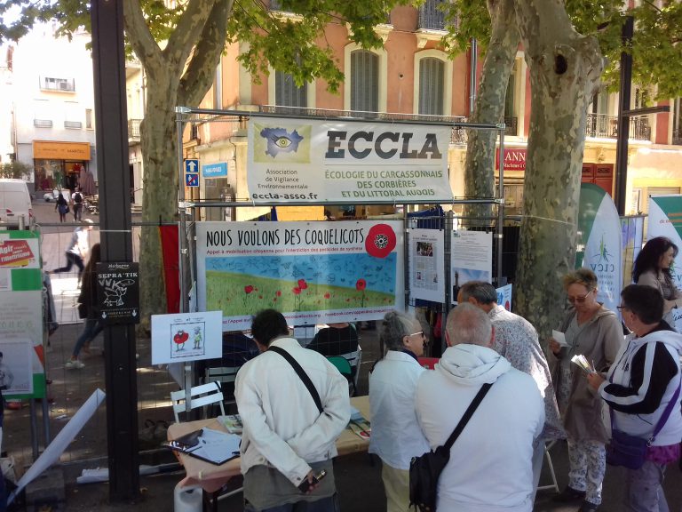 07/09/19 : Forum des Associations à Narbonne