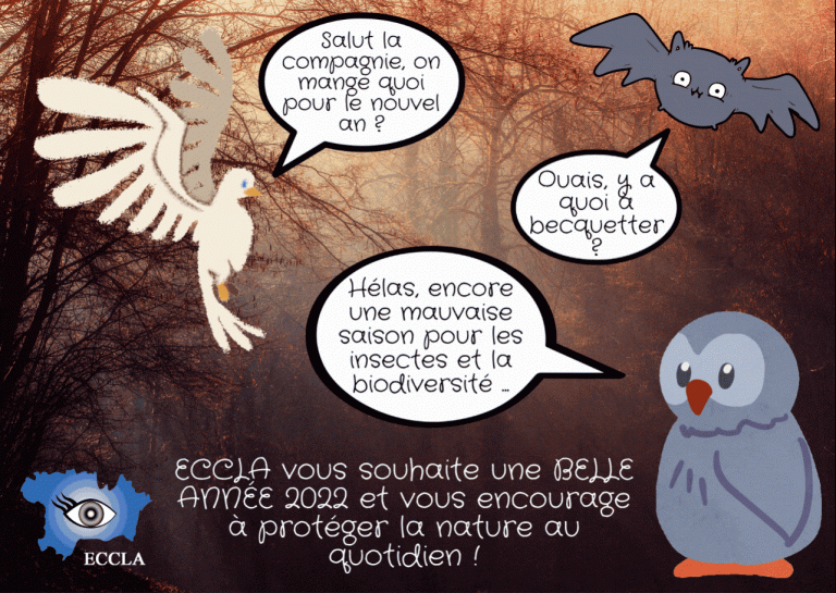 01/01/2022 : Voeux pour 2022