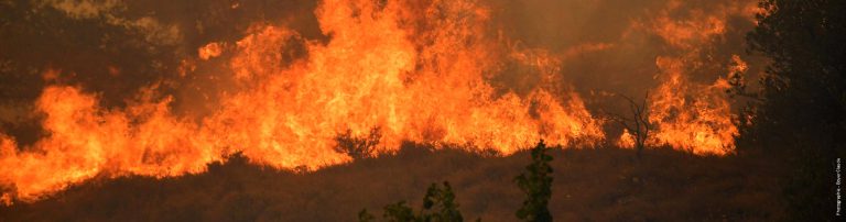 10/08/2025 : Communiqué de presse d'ECCLA sur le terrible incendie des Corbières du 5 au 8 /8/2025