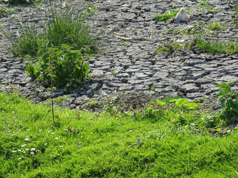 26/06/2024 : Avis d'ECCLA sur le projet arrêté Cadre sécheresse pour l'Aude