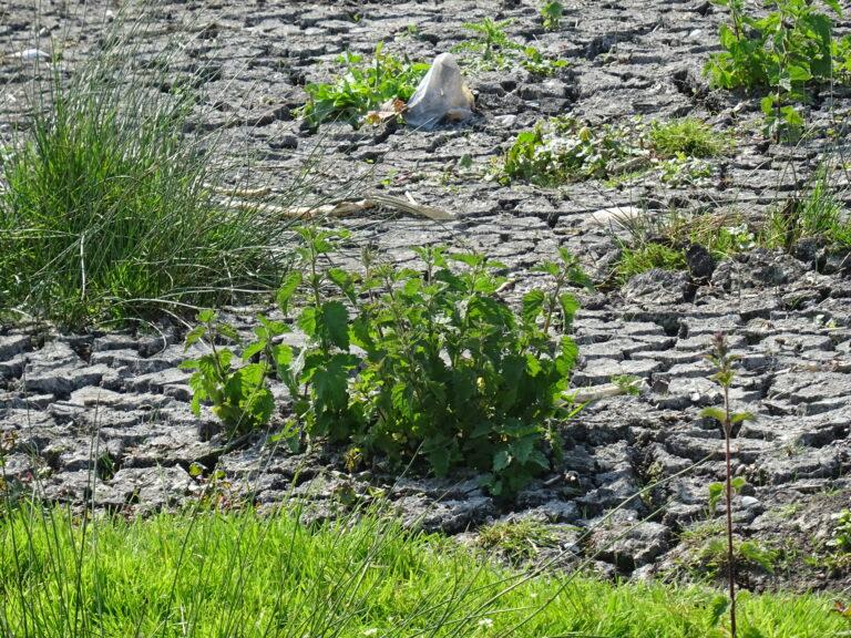 19/12/25 : Bulletin d'infos n°6 : Climat dans l'Aude en  2025