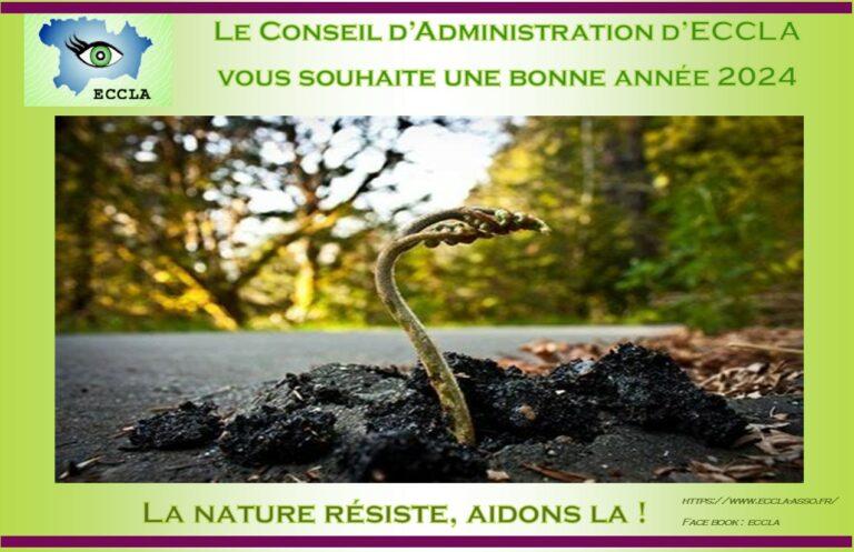 Voeux 2024 d'ECCLA