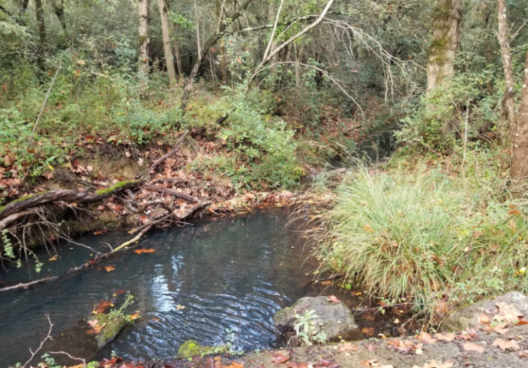 27/11/24 : CP ECCLA "Non à la fermeture de la vanne de la retenue de la Cavayère à Carcassonne"