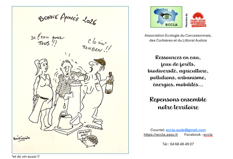 30/12/2025 : Les voeux d'ECCLA pour 2026